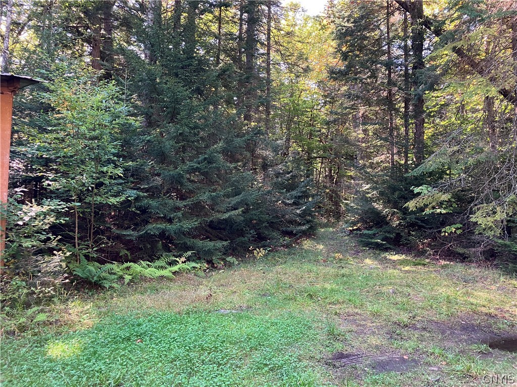 82 Stock Lane Inlet, NY 13360 - Photo 6 of 36 Right Side Yard
