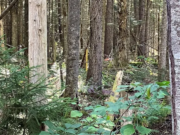 $87,500 | 82 Stock Lane, Inlet, NY 13360