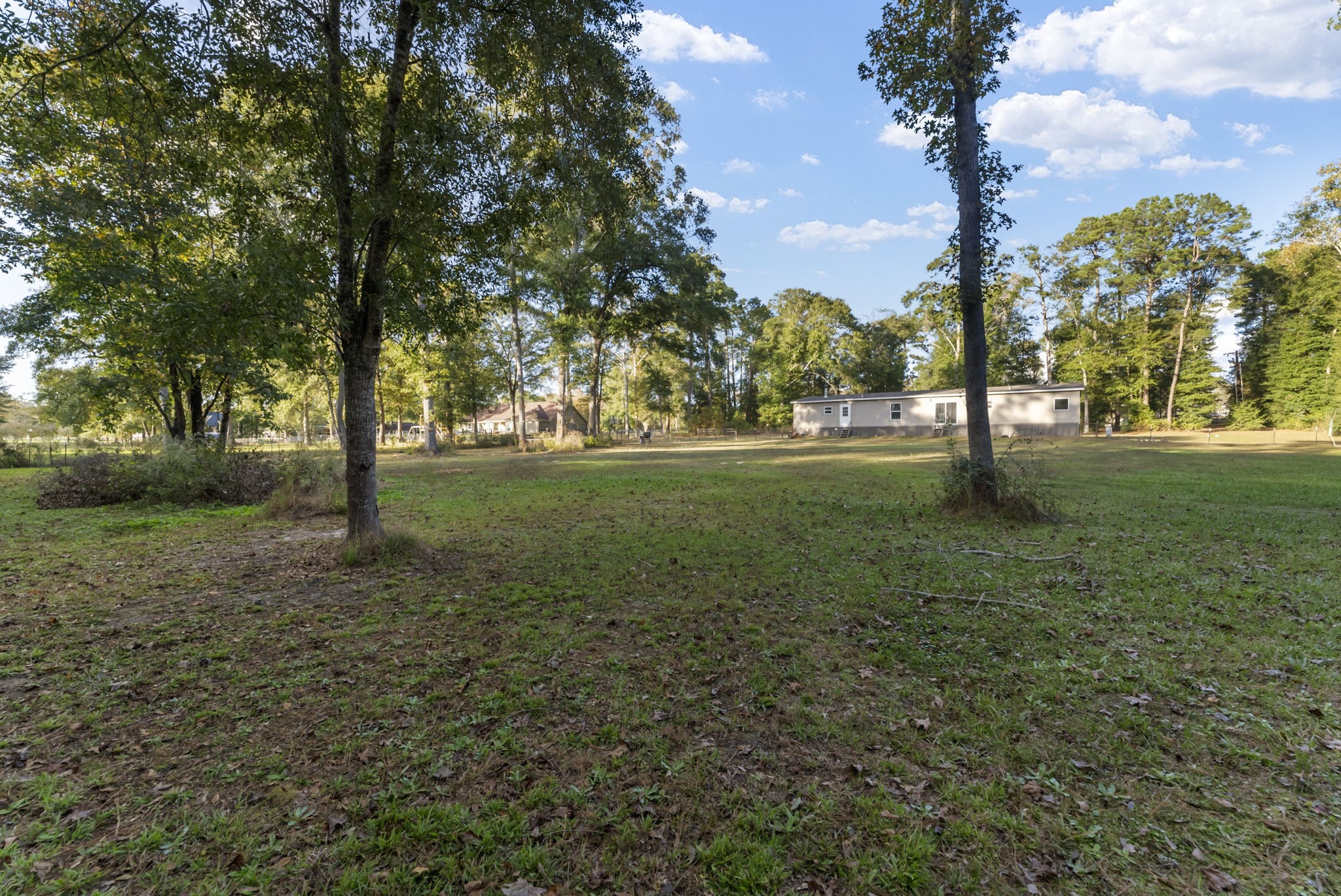 6913 Fm 3081 Road Willis, TX 77378 - Photo 28 of 46 a view of a trees in a park