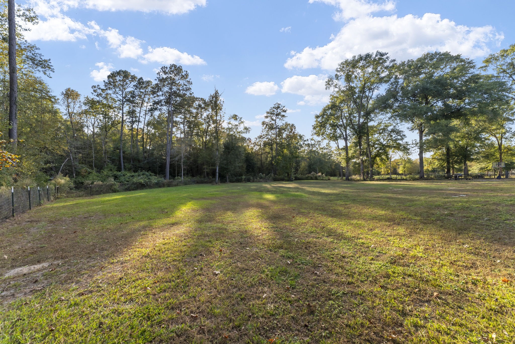 6913 Fm 3081 Road Willis, TX 77378 - Photo 6 of 46 a view of a golf course