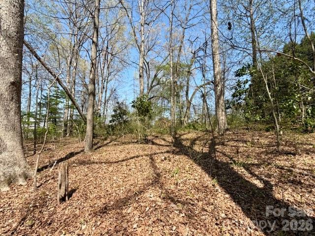 0 Spencer Road Northeast Hickory, NC 28601 - Photo 19 of 24 a view of a yard with large trees