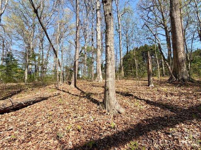 0 Spencer Road Northeast Hickory, NC 28601 - Photo 20 of 24 a backyard of a house with lots of green space