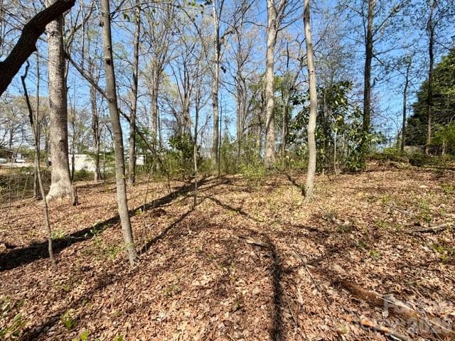 0 Spencer Road Northeast Hickory, NC 28601 - Photo 21 of 24 a view of backyard space