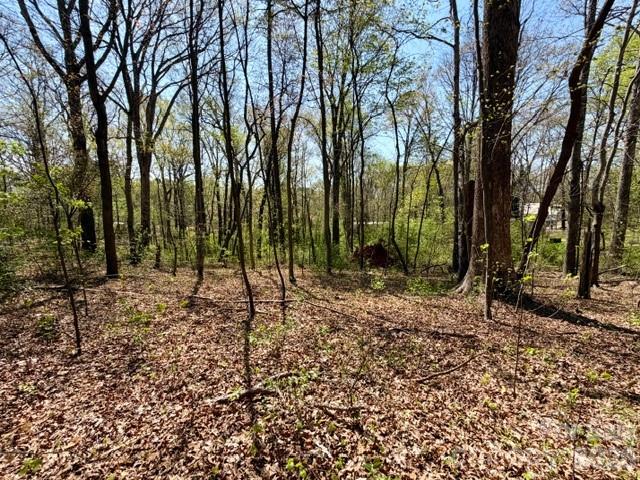 0 Spencer Road Northeast Hickory, NC 28601 - Photo 22 of 24 a backyard of a house with lots of green space