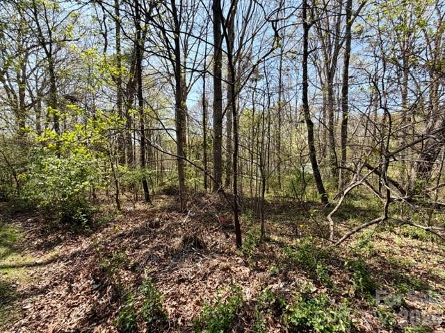 0 Spencer Road Northeast Hickory, NC 28601 - Photo 24 of 24 a view of forest