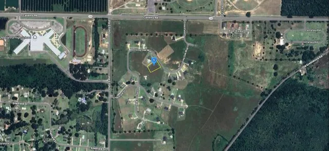 a view of a lush green forest