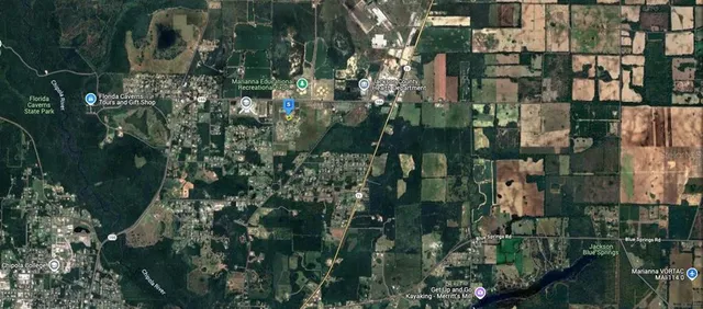 a view of a green yard