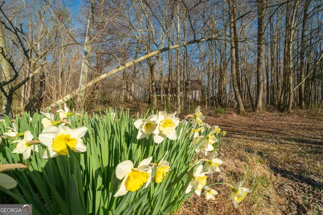 $750,000 | 96 Joyce Drive, Unit OFF AIRPORT ROAD), Cleveland, GA 30528