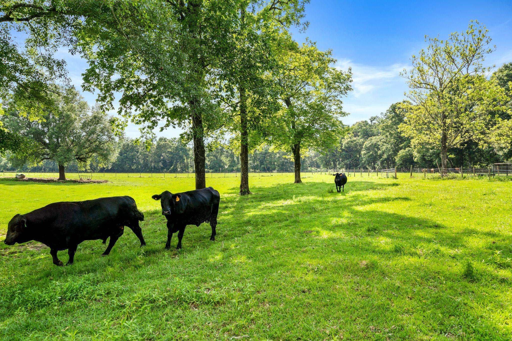 36987 Highway 59 Stapleton, AL 36578 - Photo 45 of 47