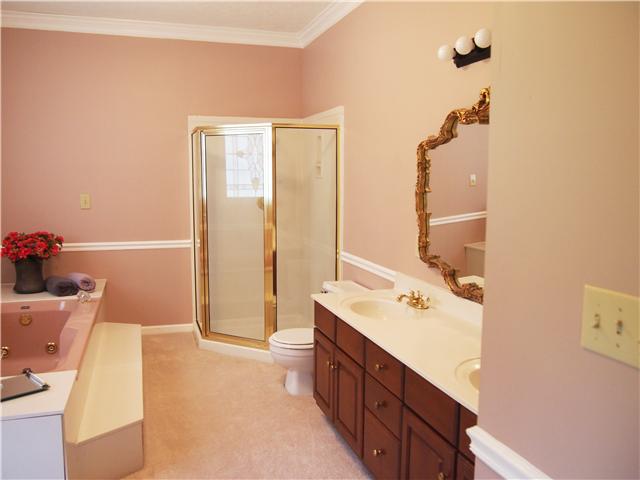 3096 Dodson Gap Road Culleoka, TN 38451 - Photo 15 of 20 Master Bathroom with separate shower stall, great Vanity and wonderful sunken tub