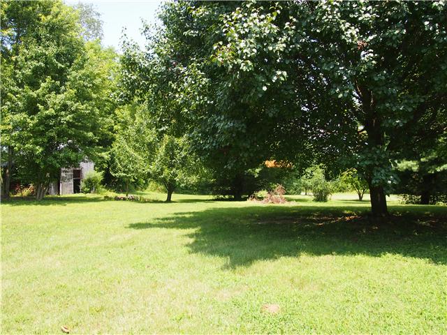 3096 Dodson Gap Road Culleoka, TN 38451 - Photo 16 of 20 The lush backyard
