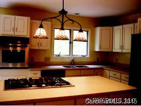 1000 Deerlake Road Brevard, NC 28712 - Photo 7 of 8 Gallery Image 7