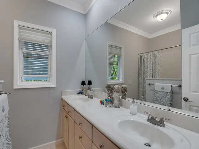 a living room with a bed furniture and a window