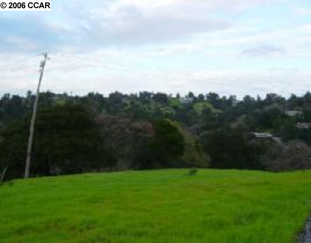 3 Quail Ridge Lane Orinda, CA 94563 - Photo 1 of 1 a view of a yard
