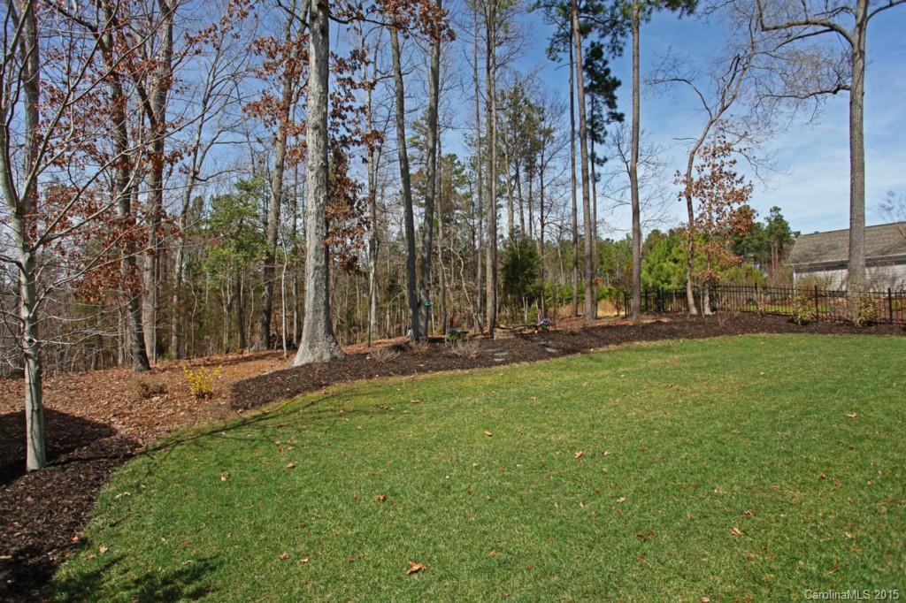 671 Revival Row Fort Mill, SC 29708 - Photo 24 of 24 a view of a park with large trees