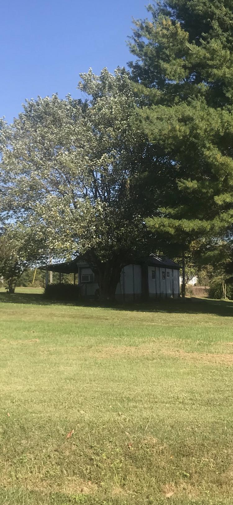 3715 Hickory Nut Road Nancy, KY 42544 - Photo 5 of 45 BD6699BD-4044-429E-B4CE-955C67AF427F<|><