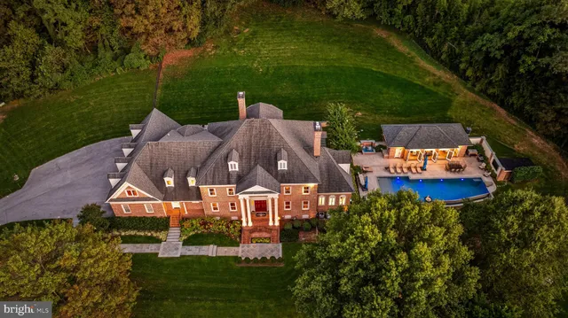 a view of a park with large trees