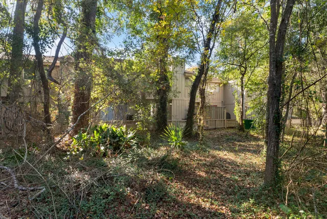 a backyard of a house with lots of plants and large tree