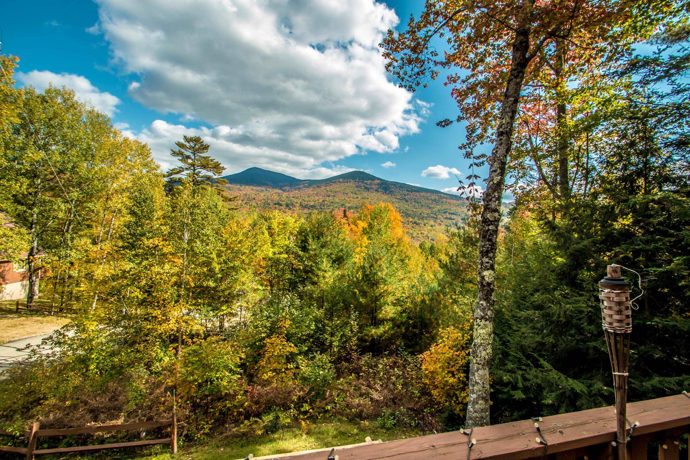 24 Rue Chamonix Road Intervale, NH 03845 - Photo 5 of 40 Gallery Image 5