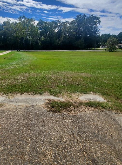 0 Sowell Road Dothan, AL 36301 - Photo 2 of 13