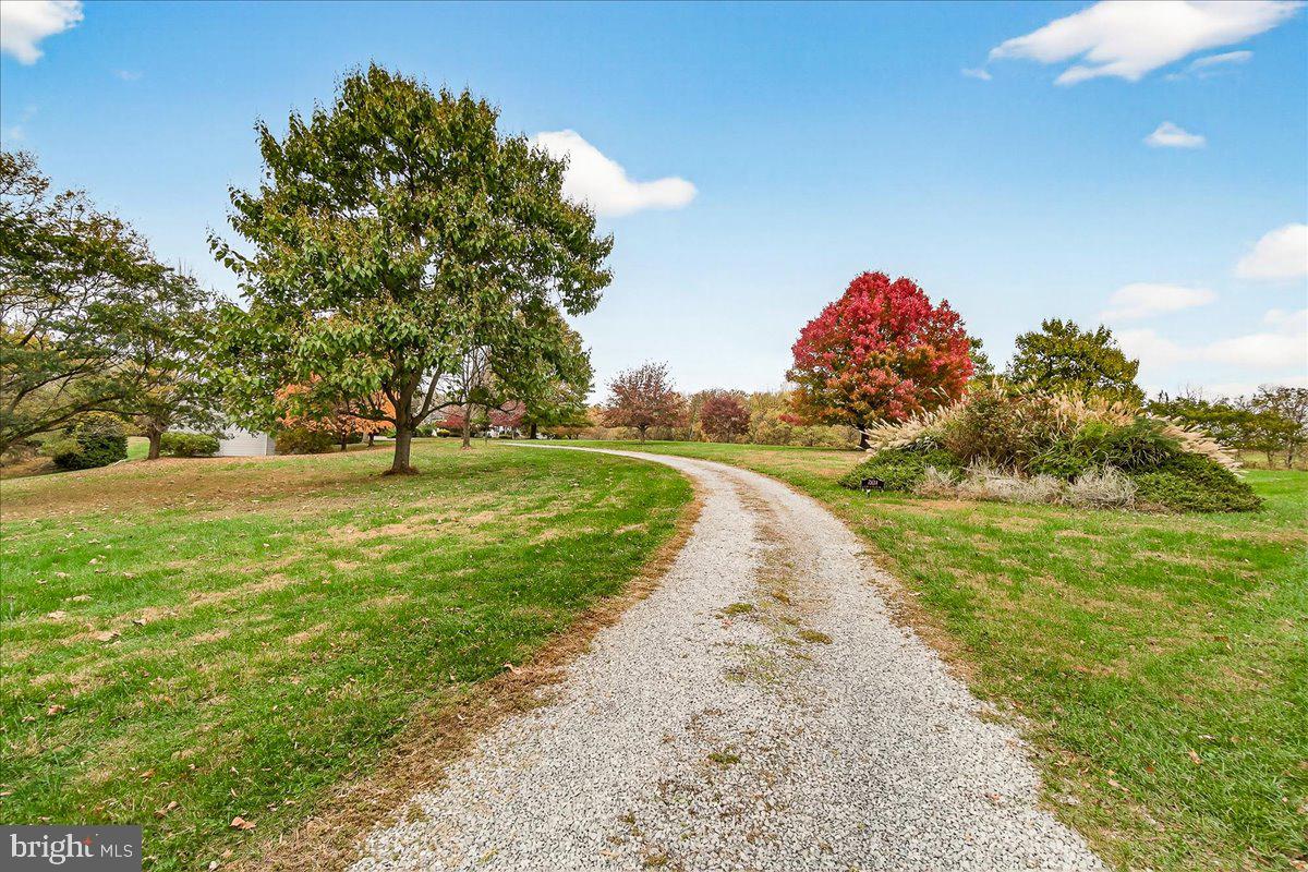 2634 Point Of Rocks Road Jefferson, MD 21755 - Photo 6 of 86 Private drive leads to the house