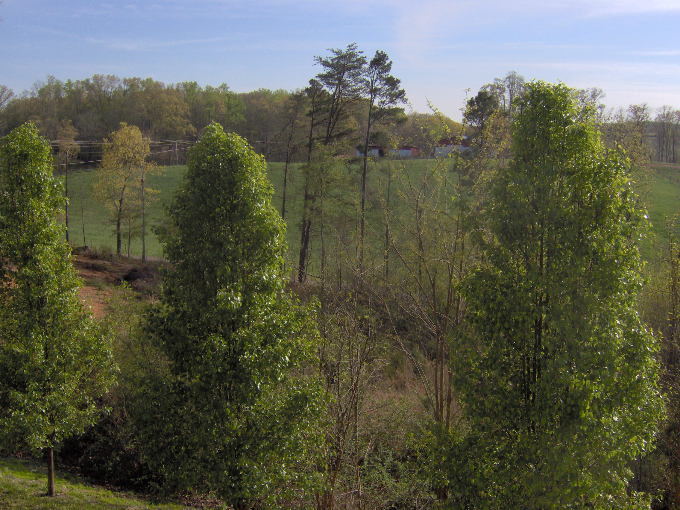 196 White Oak Lane Rutledge, TN 37861 - Photo 4 of 39 031