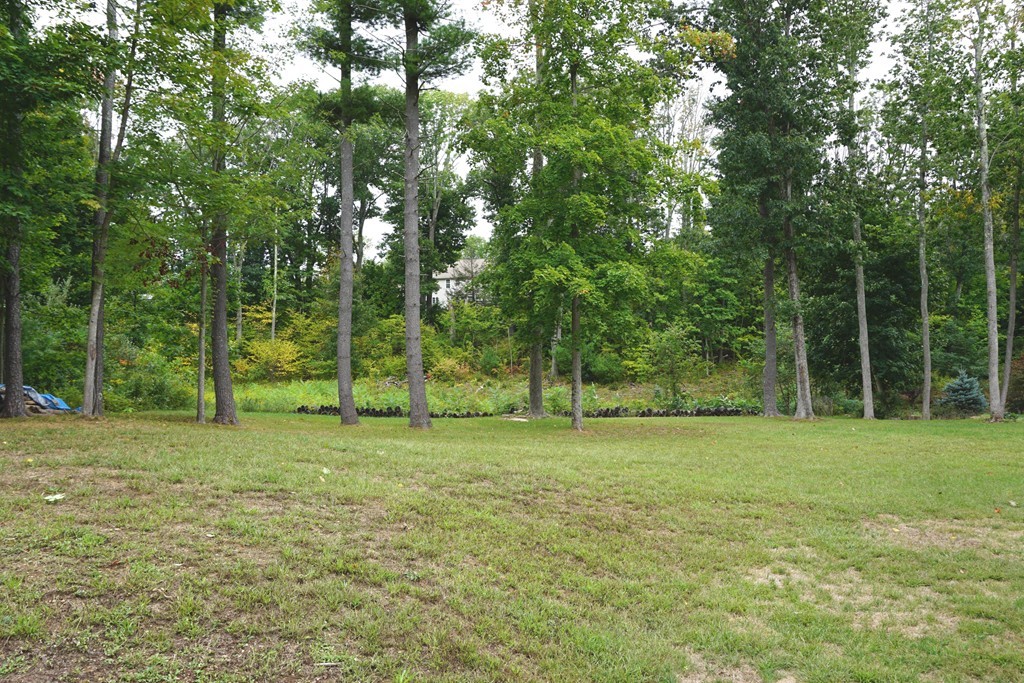 84 Fairview Park Road Sturbridge, MA 01566 - Photo 28 of 30 a view of a grassy field with trees in the background