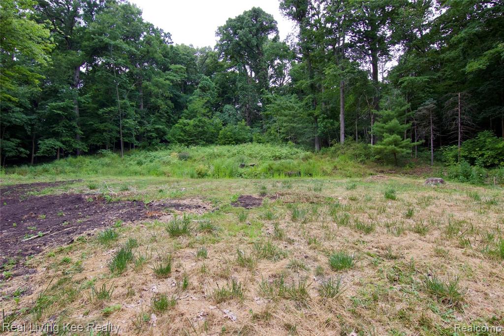 201 Beechview Drive Rochester, MI 48306 - Photo 1 of 5