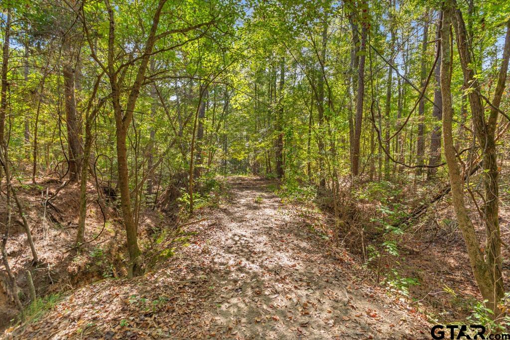 5379 County Road 385 Tyler, TX 75708 - Photo 21 of 44 Gallery Image 21