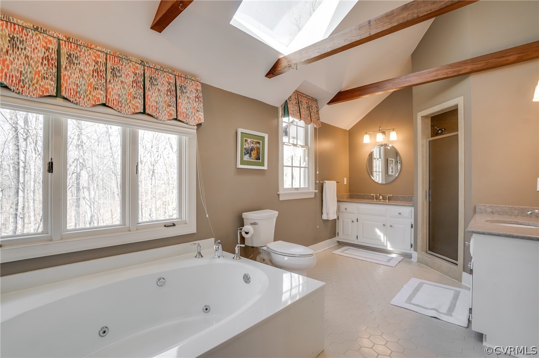 14300 West Salisbury Road Midlothian, VA 23113 - Photo 29 of 50 a spacious bathroom with a tub a sink and a large mirror