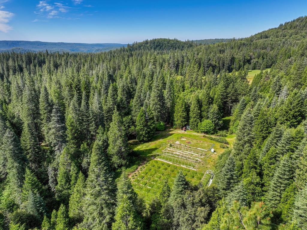 1535 Derbec Road Nevada City, CA 95959 - Photo 1 of 39 a view of a yard with a tree