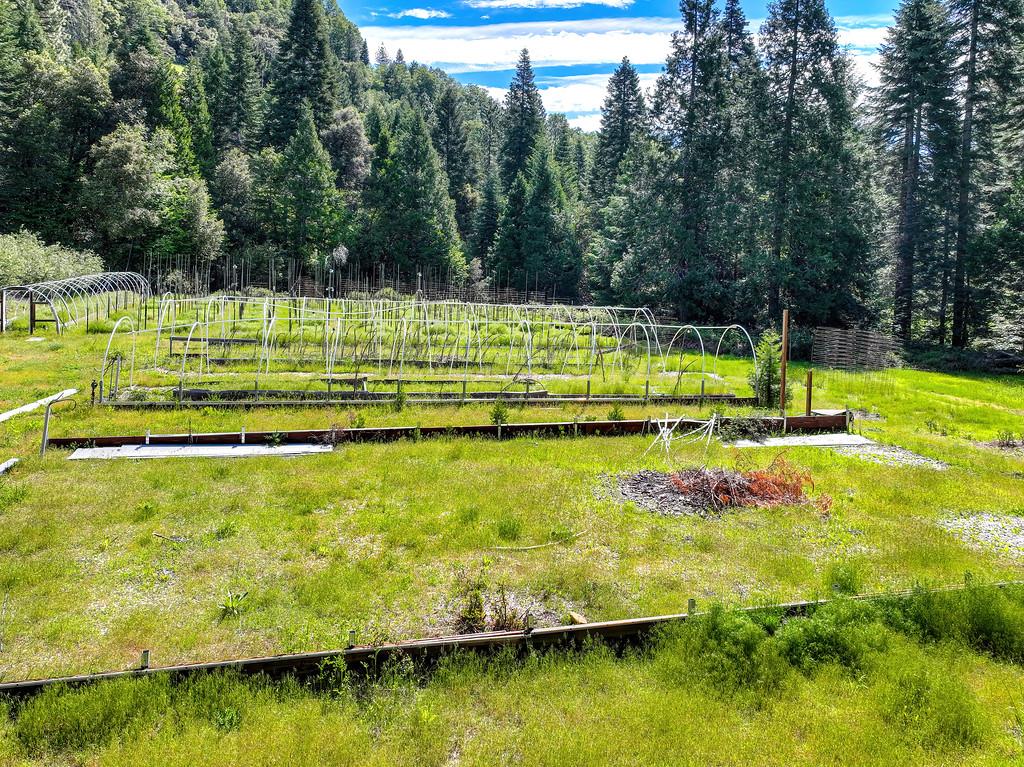 1535 Derbec Road Nevada City, CA 95959 - Photo 11 of 39 a view of a swimming pool with a yard and trees