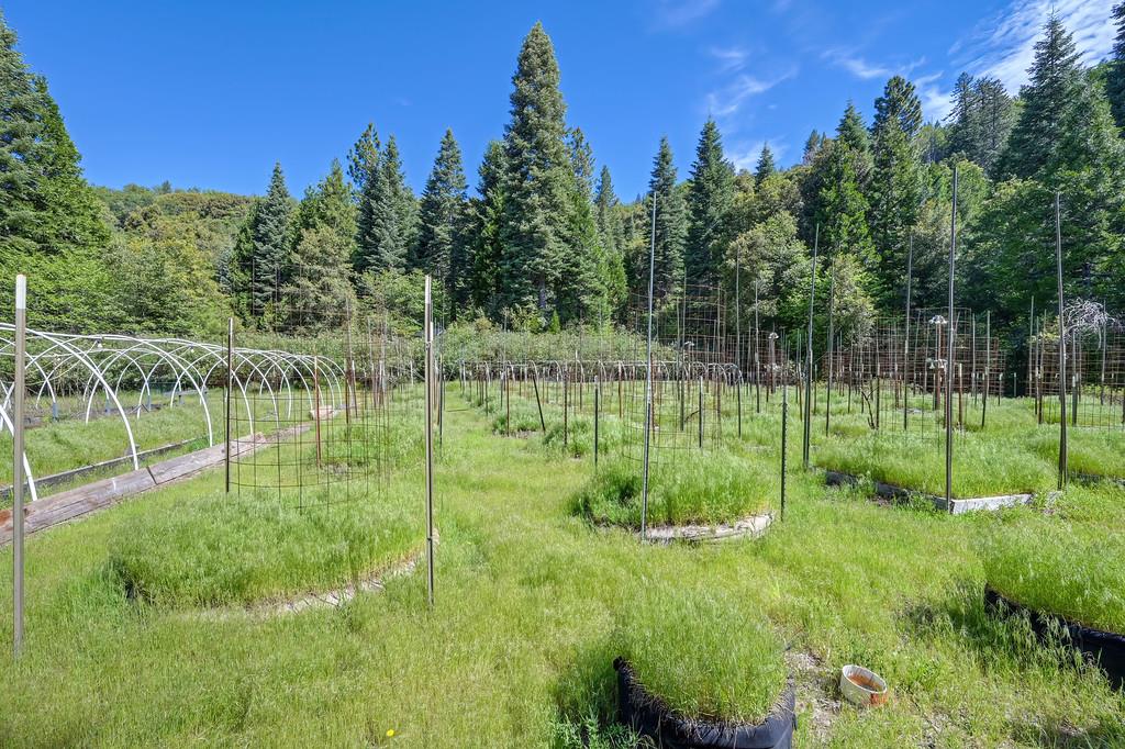 1535 Derbec Road Nevada City, CA 95959 - Photo 12 of 39 a view of a garden with a houses