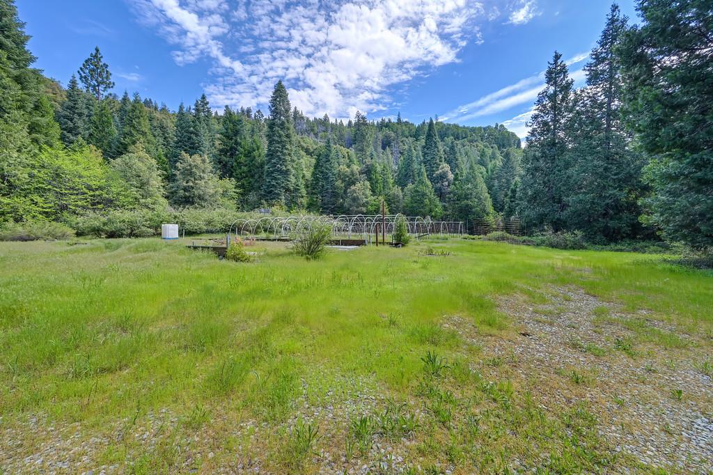 1535 Derbec Road Nevada City, CA 95959 - Photo 14 of 39 a view of a green field with trees in the background