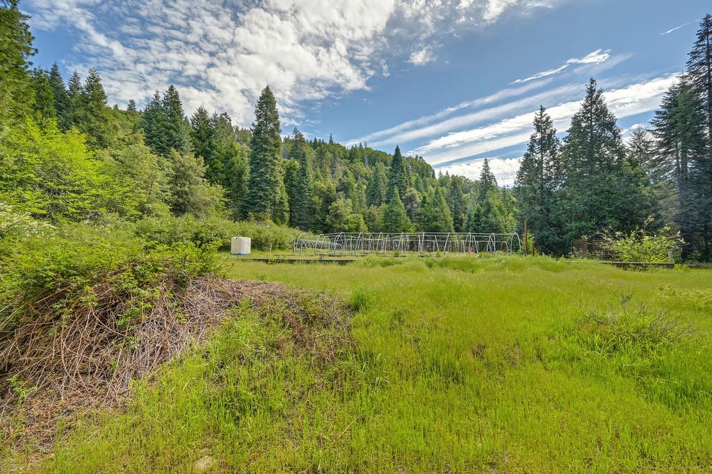 1535 Derbec Road Nevada City, CA 95959 - Photo 15 of 39 a view of a green field