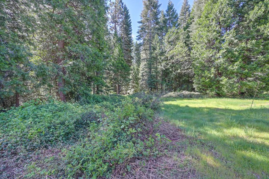 1535 Derbec Road Nevada City, CA 95959 - Photo 17 of 39