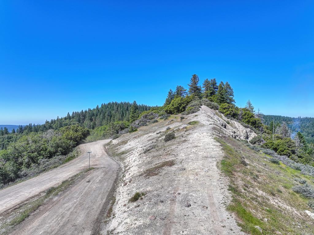 1535 Derbec Road Nevada City, CA 95959 - Photo 23 of 39 a view of a road with a yard