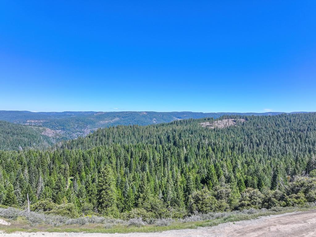 1535 Derbec Road Nevada City, CA 95959 - Photo 26 of 39 a view of a green field
