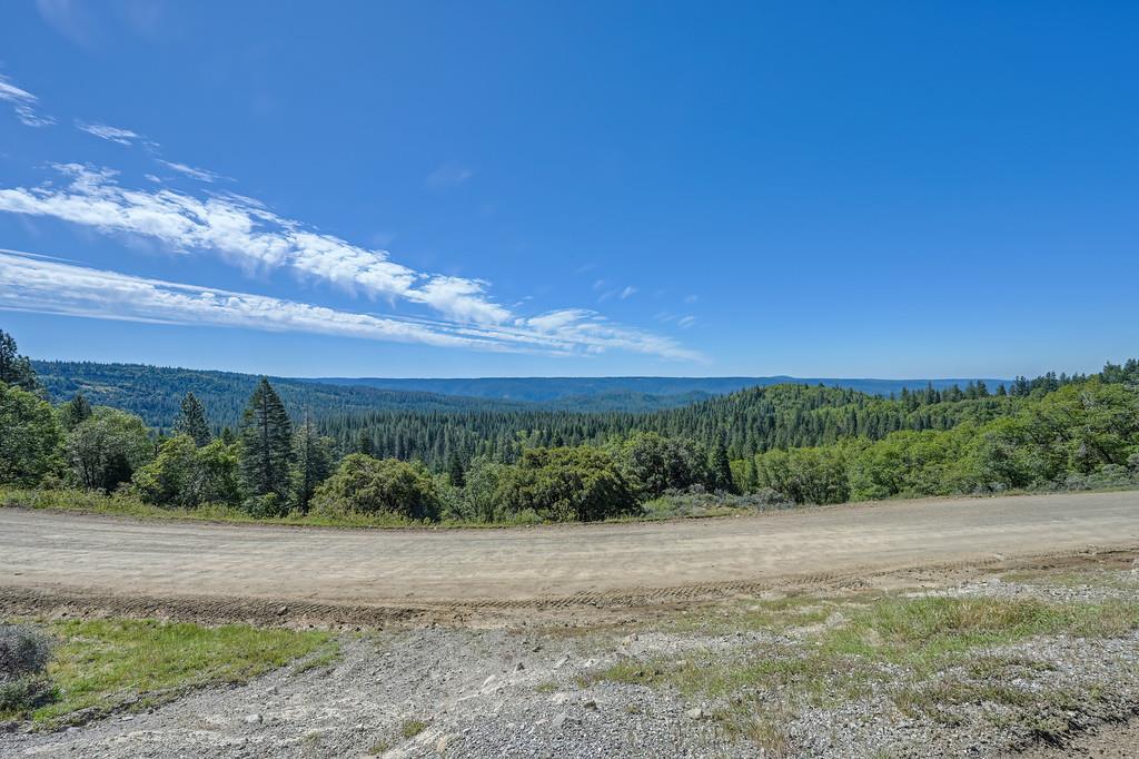 1535 Derbec Road Nevada City, CA 95959 - Photo 28 of 39 a view of a yard with a tree