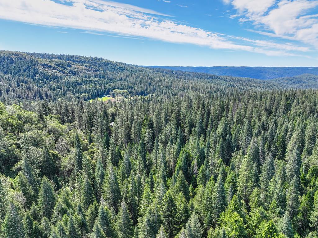 1535 Derbec Road Nevada City, CA 95959 - Photo 36 of 39 a view of a city with lush green forest