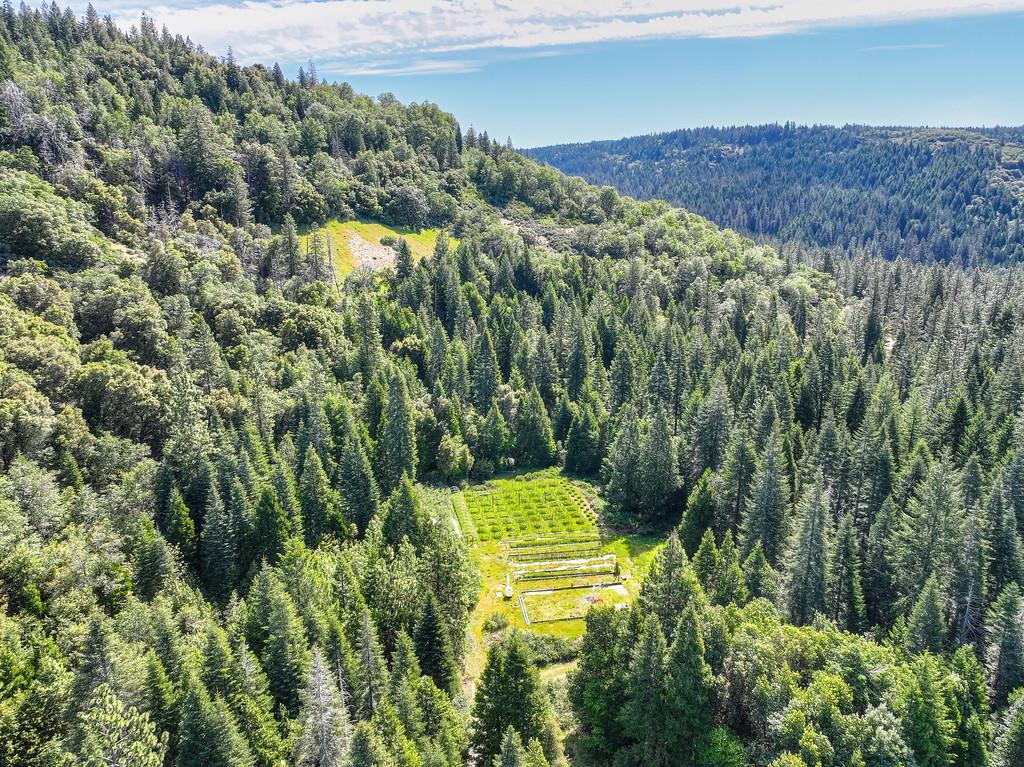 1535 Derbec Road Nevada City, CA 95959 - Photo 6 of 39