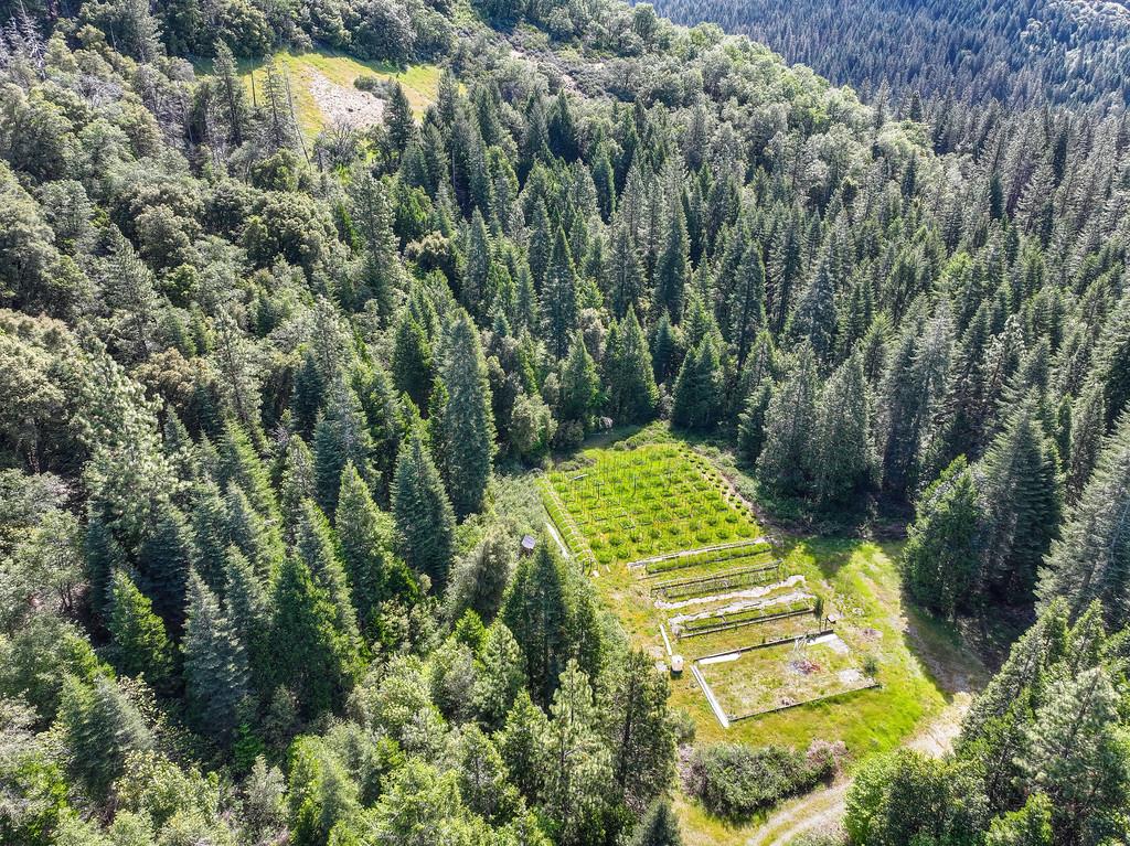 1535 Derbec Road Nevada City, CA 95959 - Photo 8 of 39 an aerial view of a house with swimming pool and green space