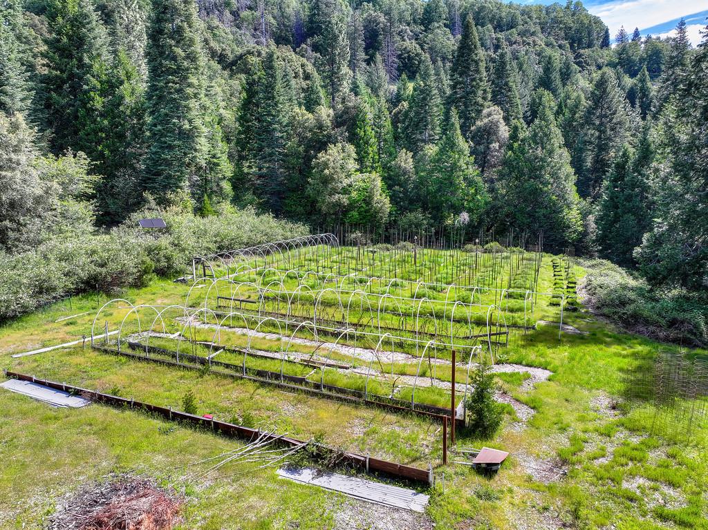 1535 Derbec Road Nevada City, CA 95959 - Photo 9 of 39 a view of an outdoor space