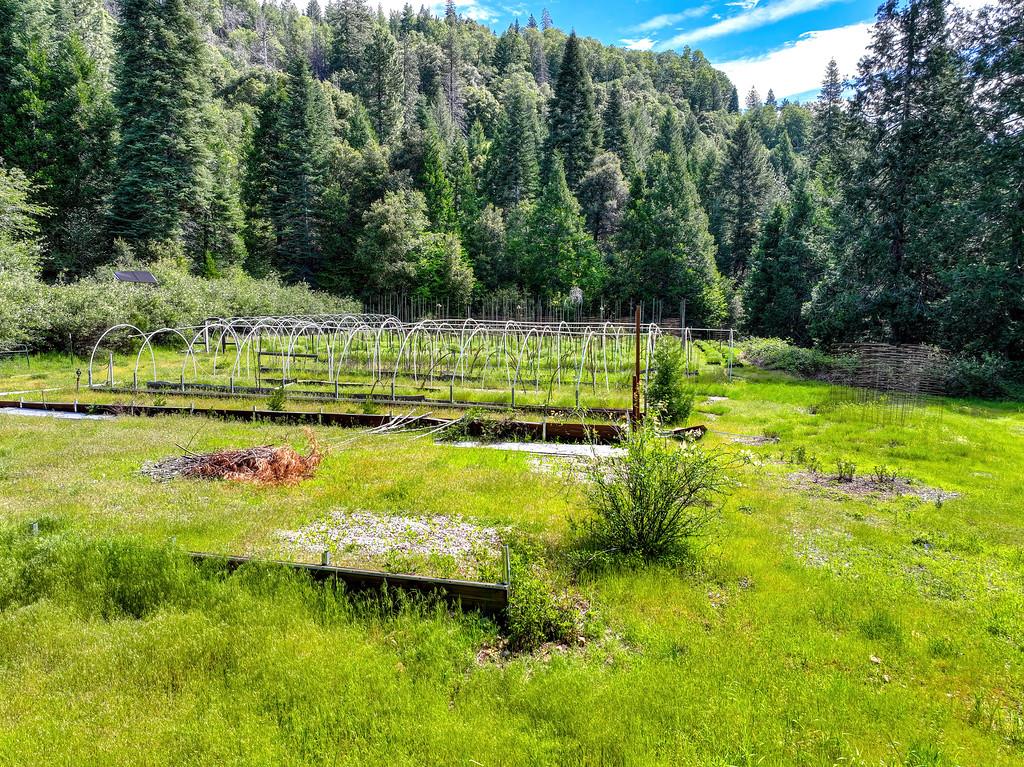 1535 Derbec Road Nevada City, CA 95959 - Photo 10 of 39 a view of a garden with an outdoor space