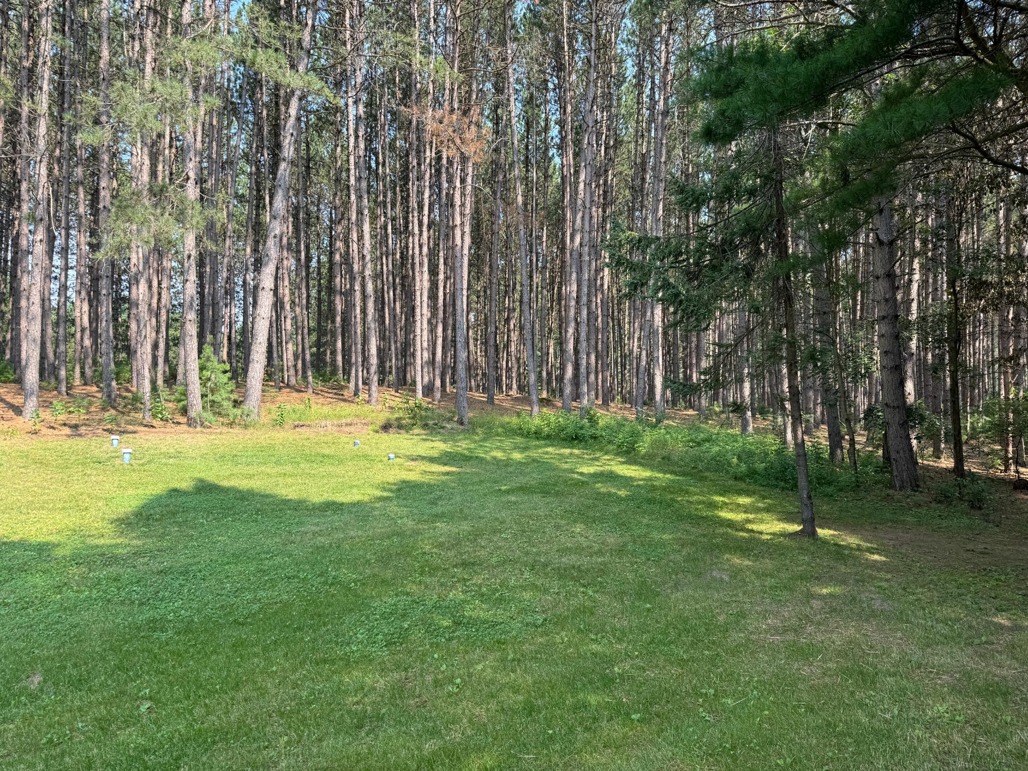 10386 Forest Road Tomahawk, WI 54487 - Photo 9 of 40 Gallery Image 9