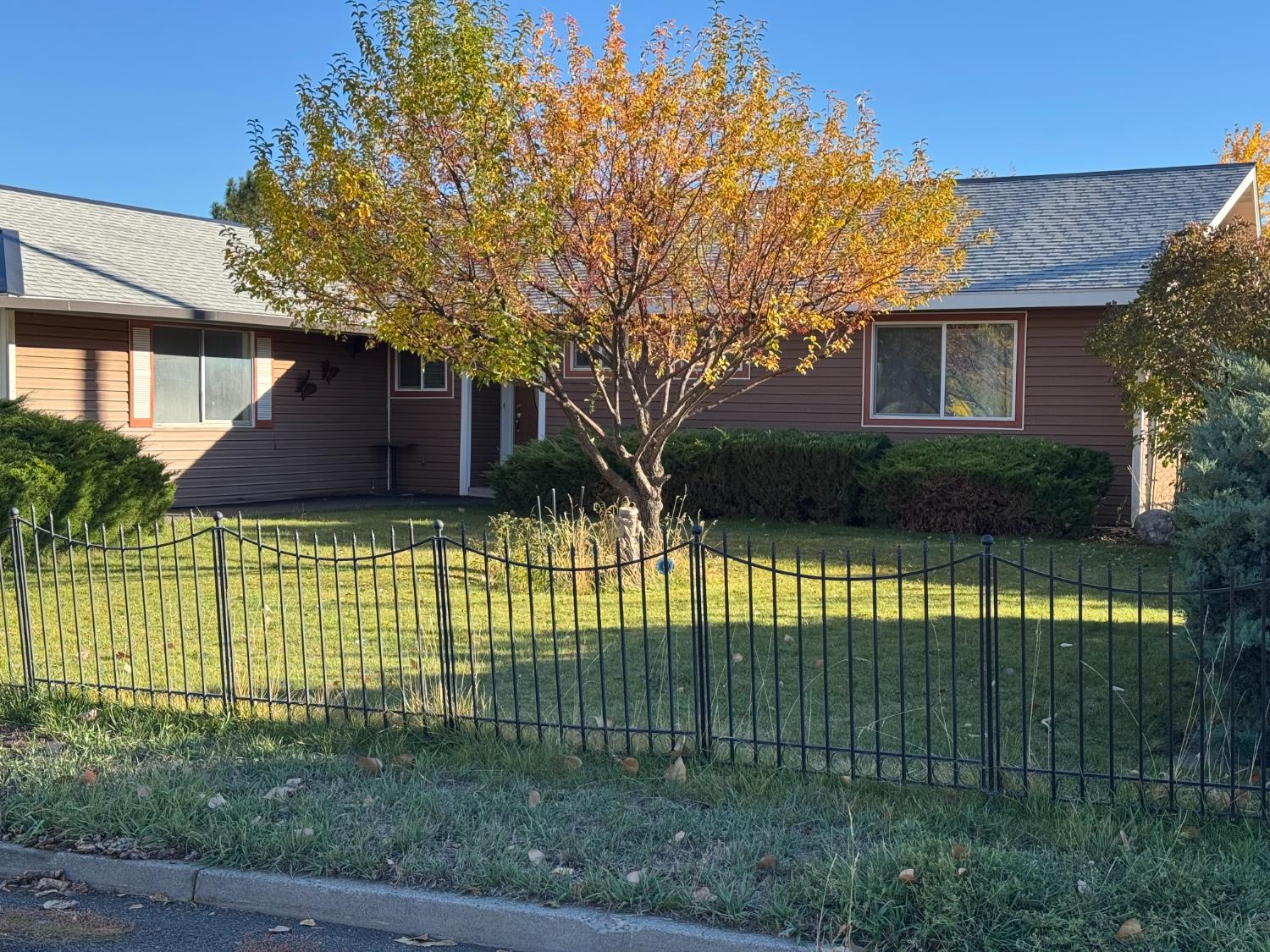 100 Patterson Avenue Loyalton, CA 96118 - Photo 2 of 36 a view of a house with a garden
