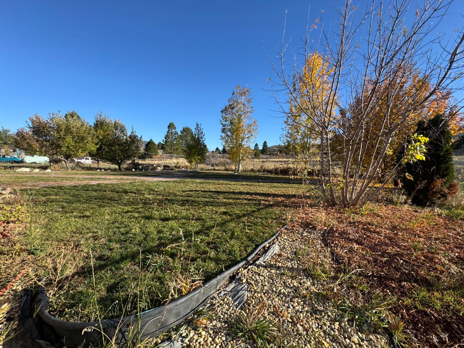 100 Patterson Avenue Loyalton, CA 96118 - Photo 30 of 36 a view of a yard