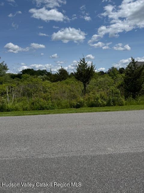 68 Hillside Drive Athens, NY 12015 - Photo 3 of 8 a view of outdoor space and city view