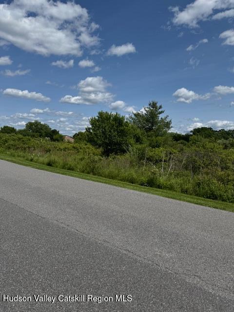 68 Hillside Drive Athens, NY 12015 - Photo 4 of 8 a view of a street