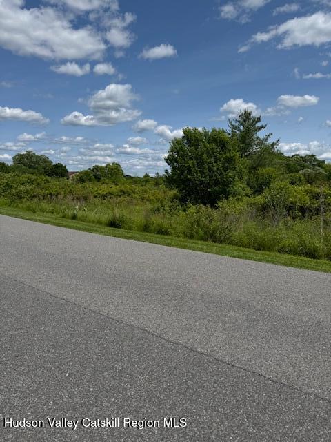 68 Hillside Drive Athens, NY 12015 - Photo 5 of 8 a view of a street